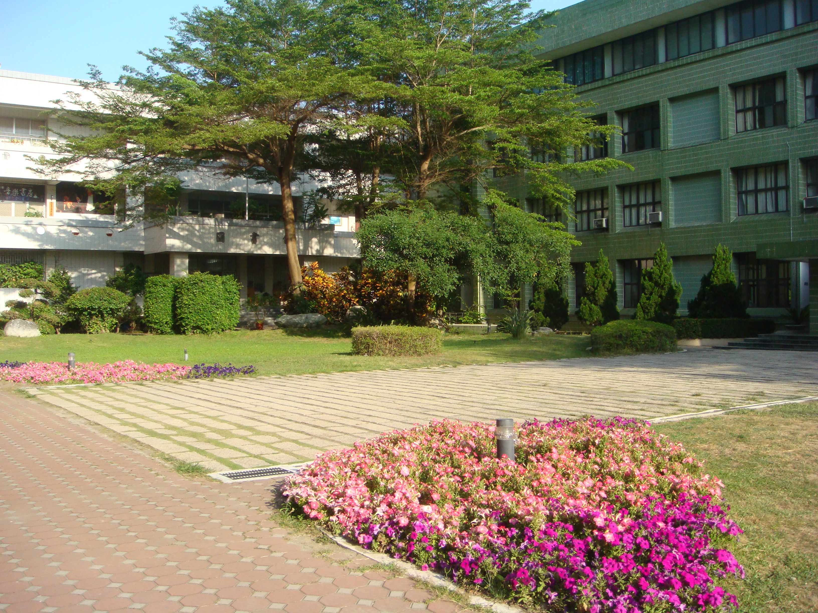 中庭景觀